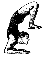 Contortion