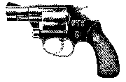 Gun
