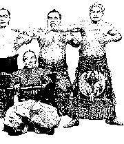 sumo