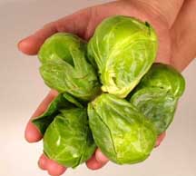 Brussels sprouts