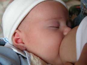 breastfeeding
