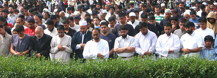 British Muslims