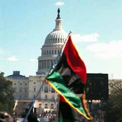 Garvey flag