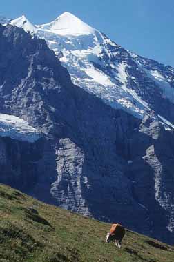 Switzerland