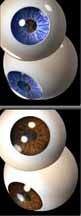 eyeballs