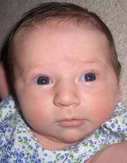 Vivien Violet Webster