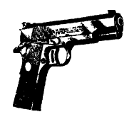 pistol