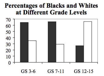 Government Pay in Black and White