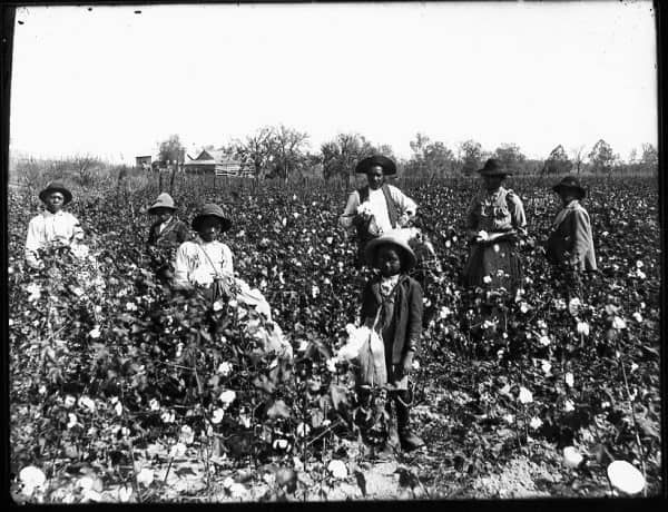 Slaves in the Field