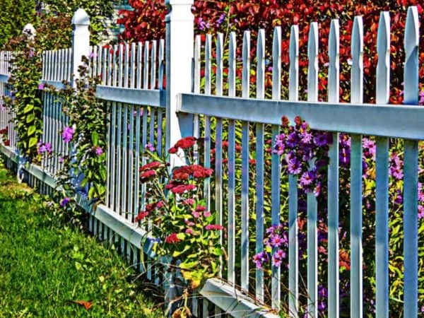 White Picket Fence