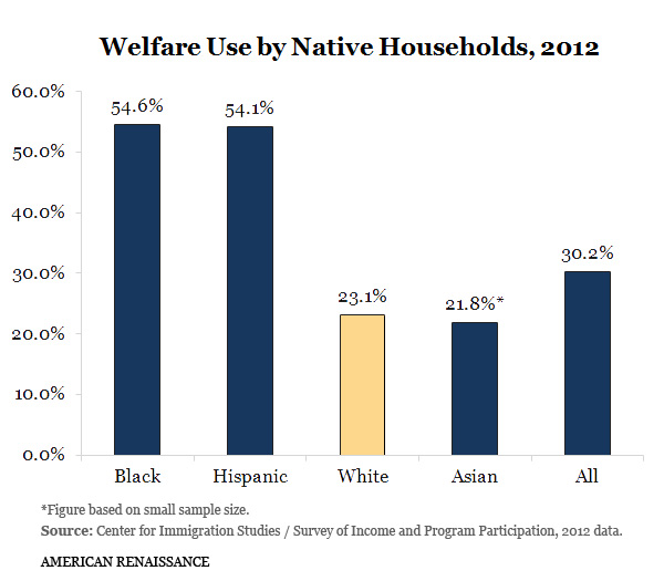 Welfare Distribution By Race Chart In America