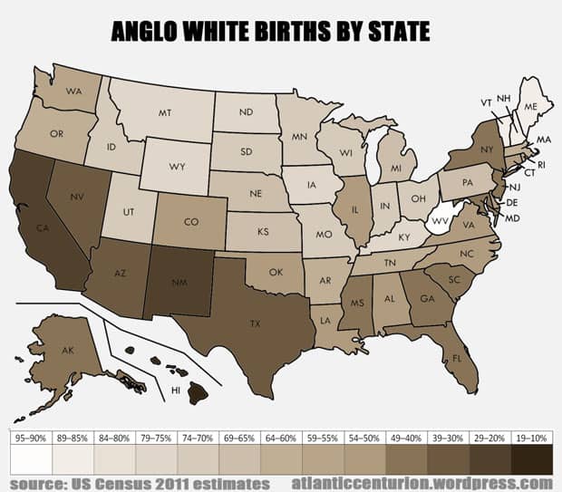 Anglo White Births by State