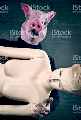 Thieving Pig from iStock