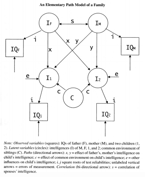 An Elementary Path Model of a Family