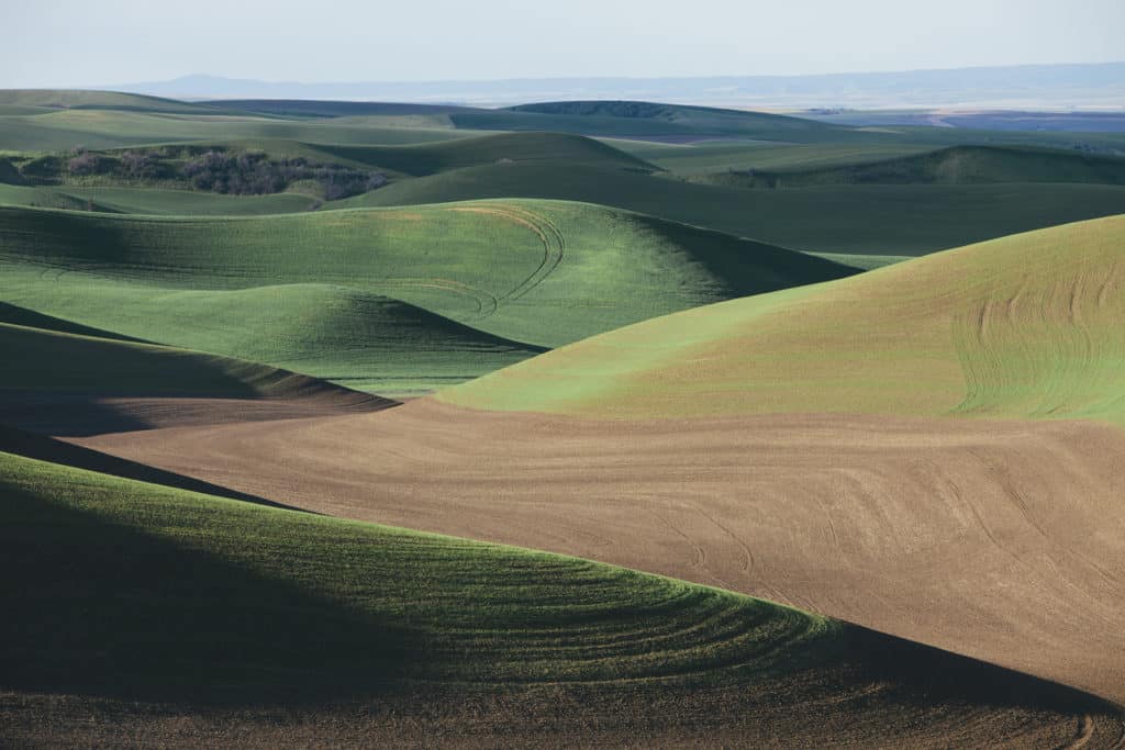 Rolling Green Hills