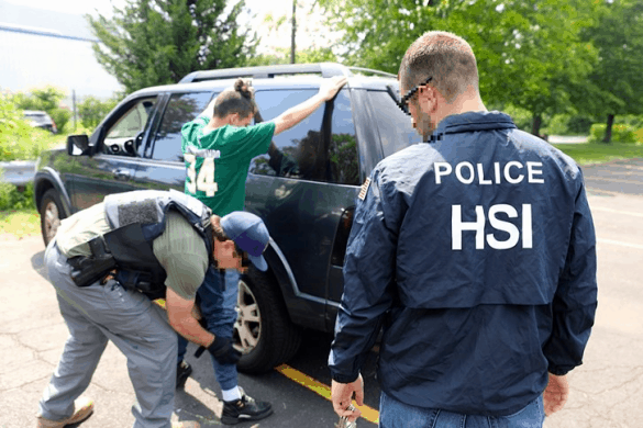 HSI Makes Arrest