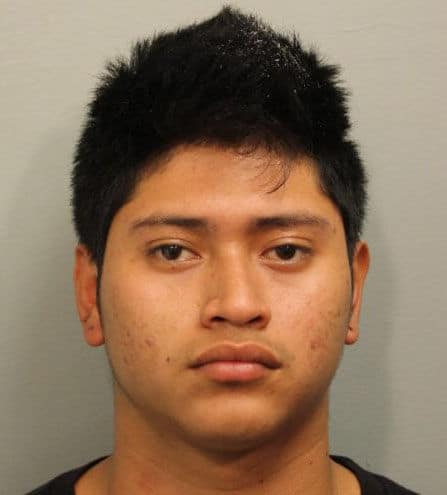 Douglas Alexander Herrera-Hernandez