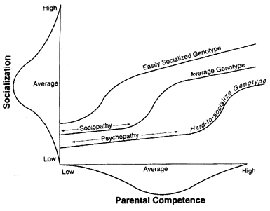 Socialization and Parental Competence Graph