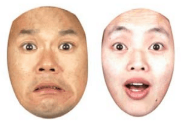 Asian Faces