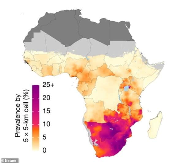 HIV Rate Has Gone Up in Some Parts of Africa Map