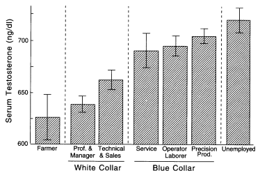 Job Chart