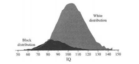 Black and White Bell Curve