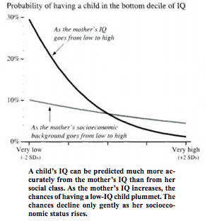 Probability of Having a Child