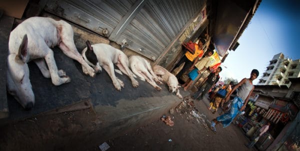 Mumbai Slum