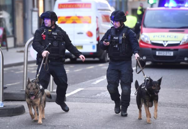 Police with Dogs in London After Terrorist Attack 2019