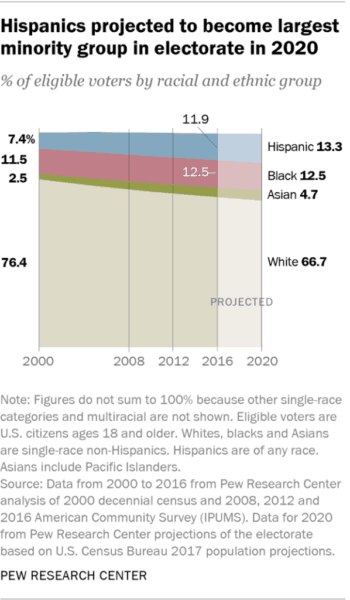 2020 Electorate by Race