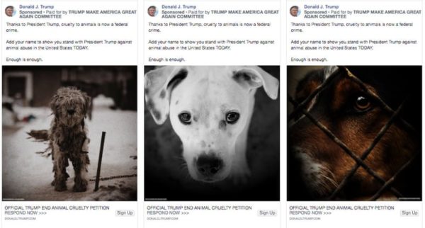 Donald Trump 2020 Facebook Ads on Animal Cruelty