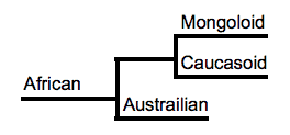 Africa Austrailian Caucasoid Mongoloid Genetic Distance