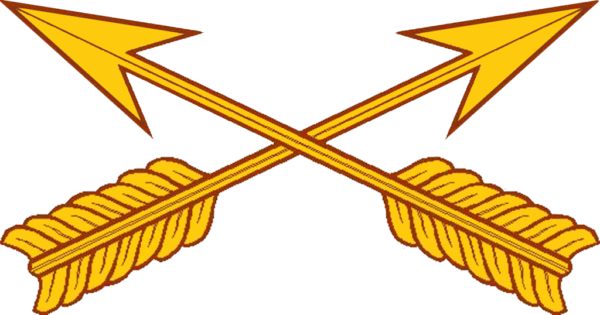 United States Army Special Forces Branch Insignia