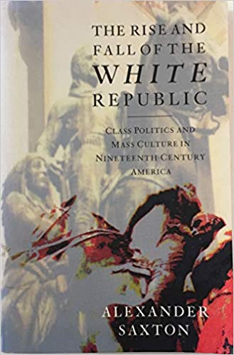 The Rise and Fall of the White Republic by alexander saxton