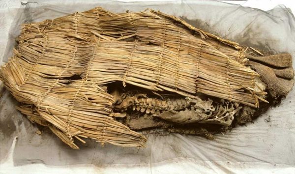 The "Spirit Cave Mummy" found in Nevada.